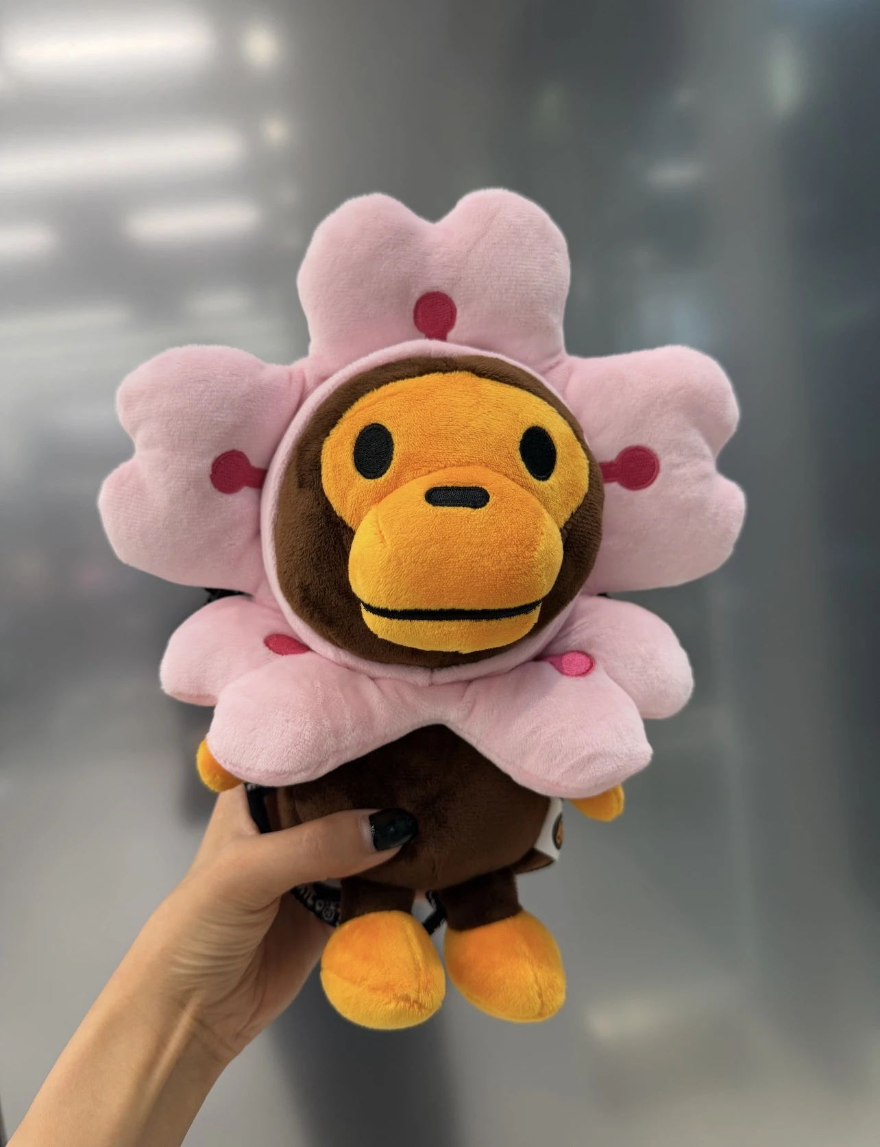 Babymilo 櫻花手機包🌸