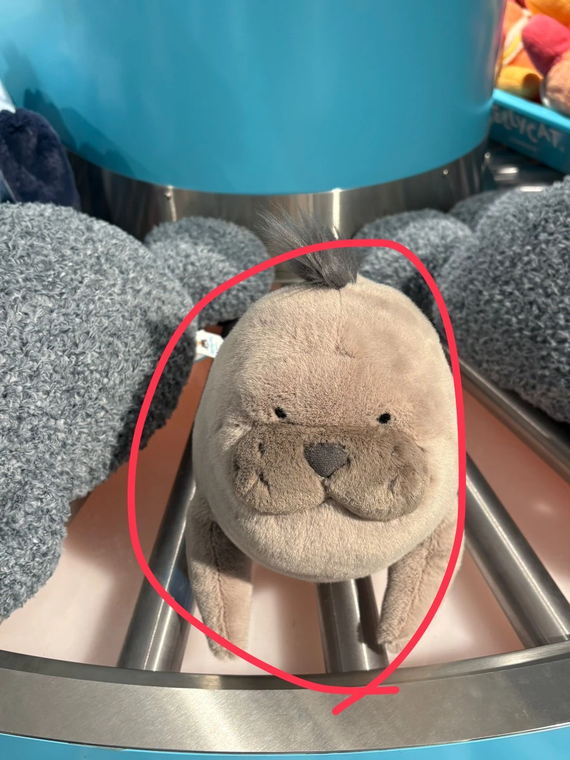 客訂｜Jellycat Roarwell Sea Lion