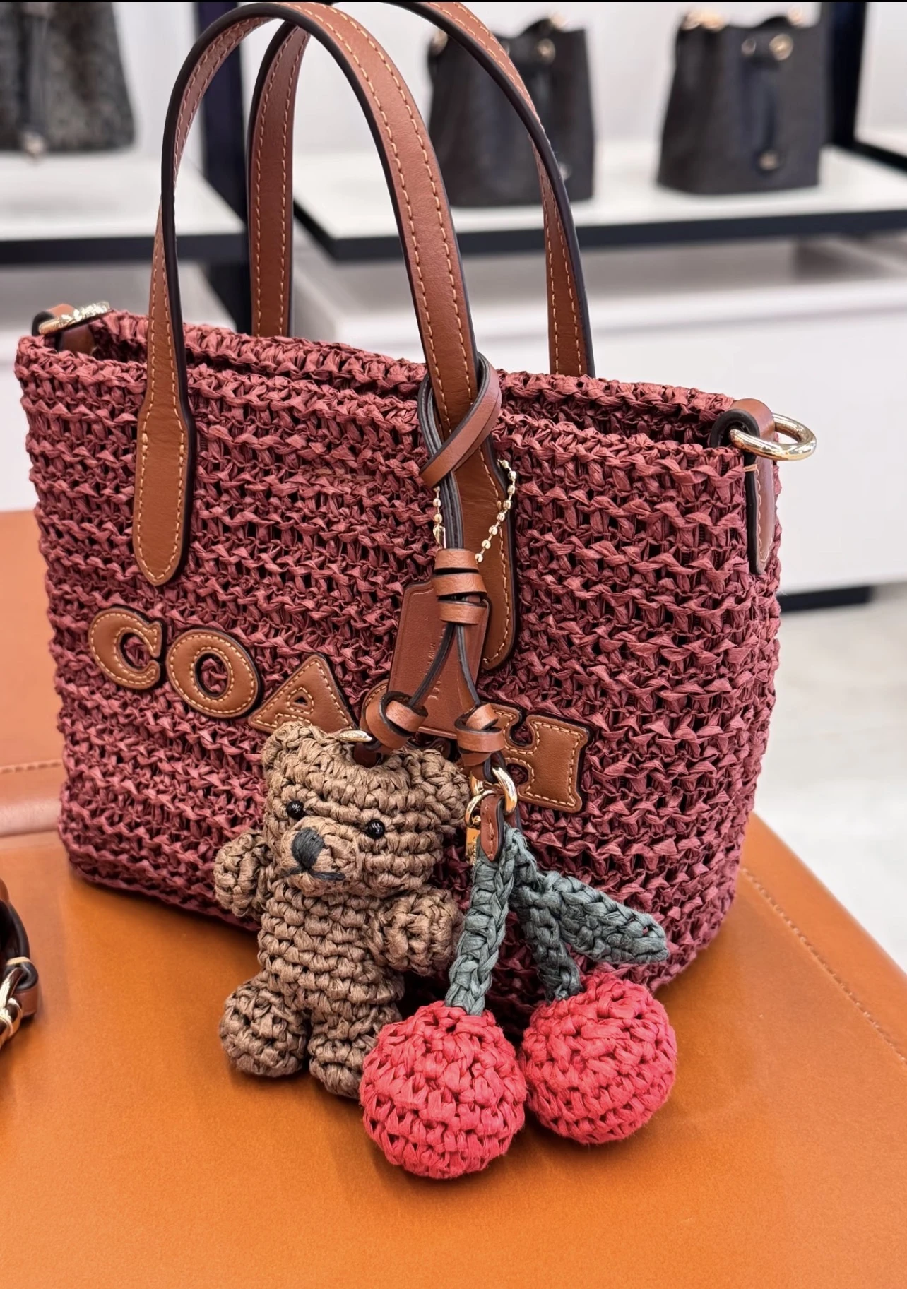 國外現貨｜COACH 🍒🐻草編city15