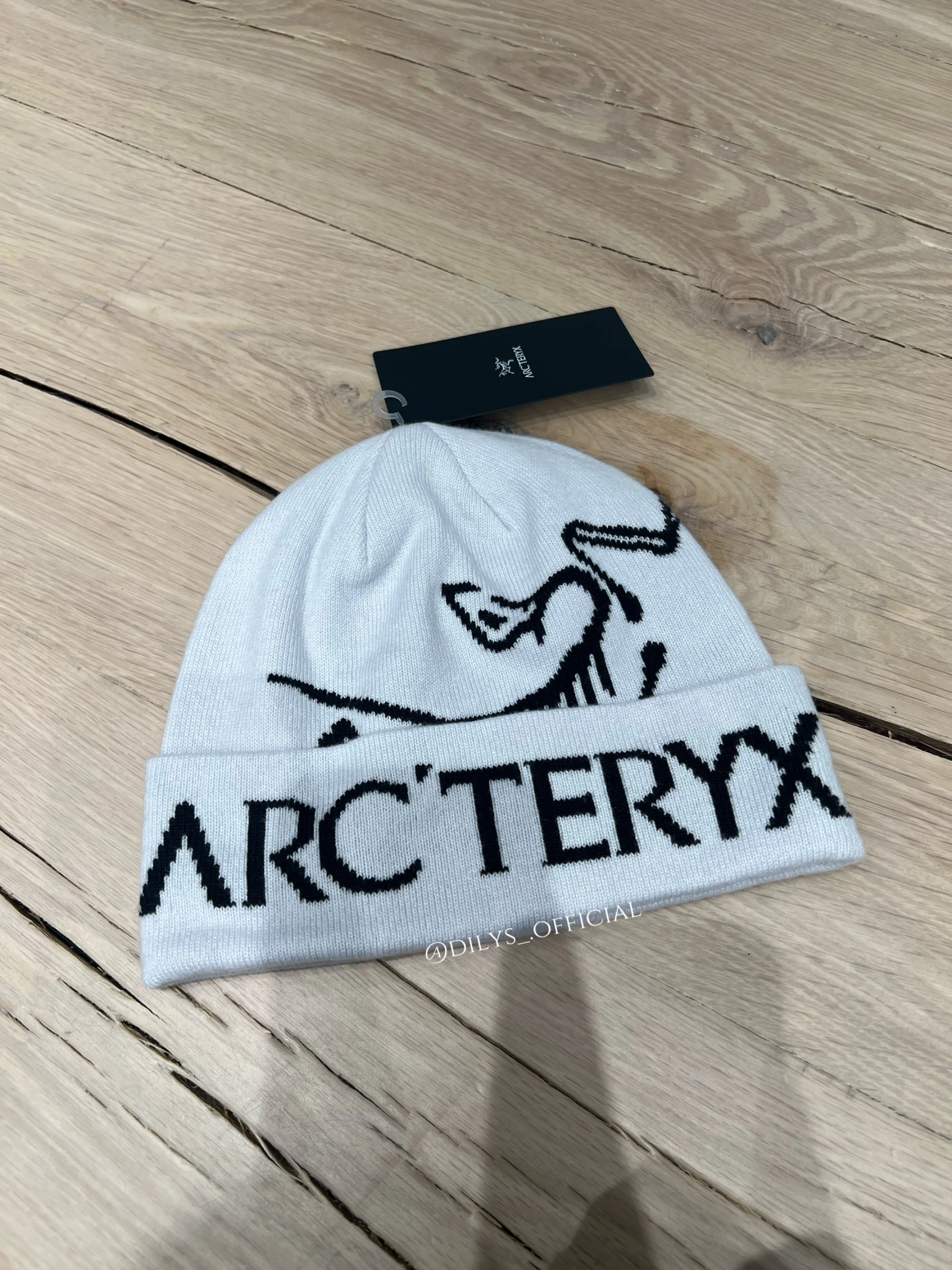 Arc'teryx 始祖鳥 大Logo翻邊針織毛帽/冷帽