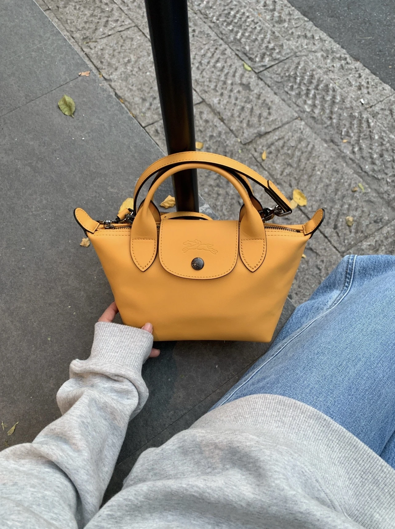 Y.C客訂｜Longchamp 特賣 黃色餃子包Xs
