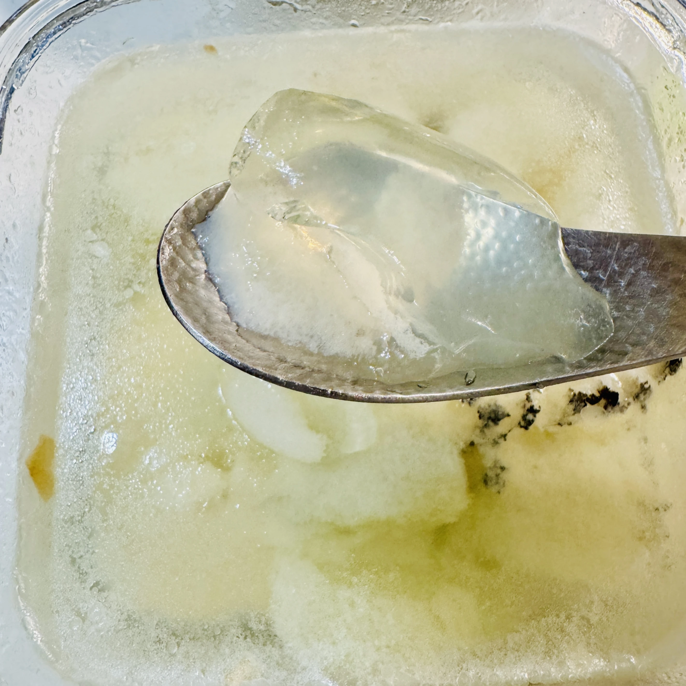 西瓜綿龍膽石斑魚湯