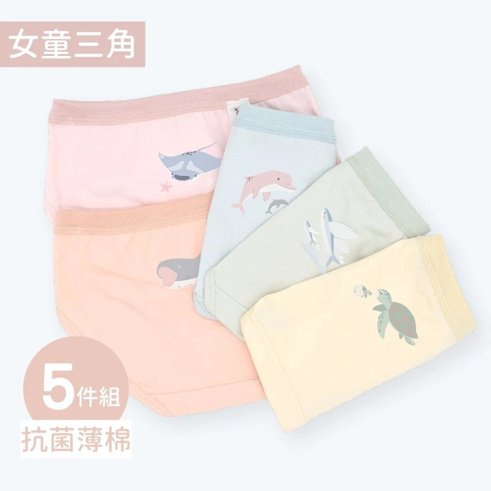 抗菌薄棉-女童三角-海洋(5件組B)