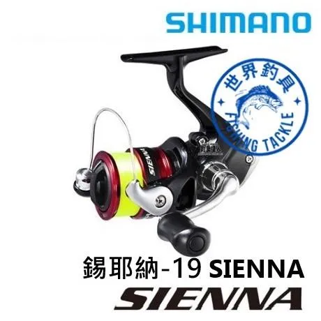 【世界釣具】台灣公司貨 SHIMANO SIENNA 錫耶納 紡車式捲線器 附贈母線 尼龍線 磯釣 岸邊 小搞搞 路亞