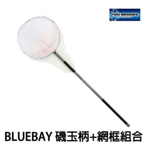 【世界釣具】日本品牌 浜田 PRO MARINE BLUEBAY 磯玉柄+網框 撈網組合(含框) 玉柄+玉網 撈網 磯釣