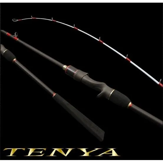 【世界釣具】🔥免運🔥寸真 TENYA 天亞竿 龍鳳尾 鐵板竿  船釣 路亞竿 太刀 白帶 日本配件 一本半