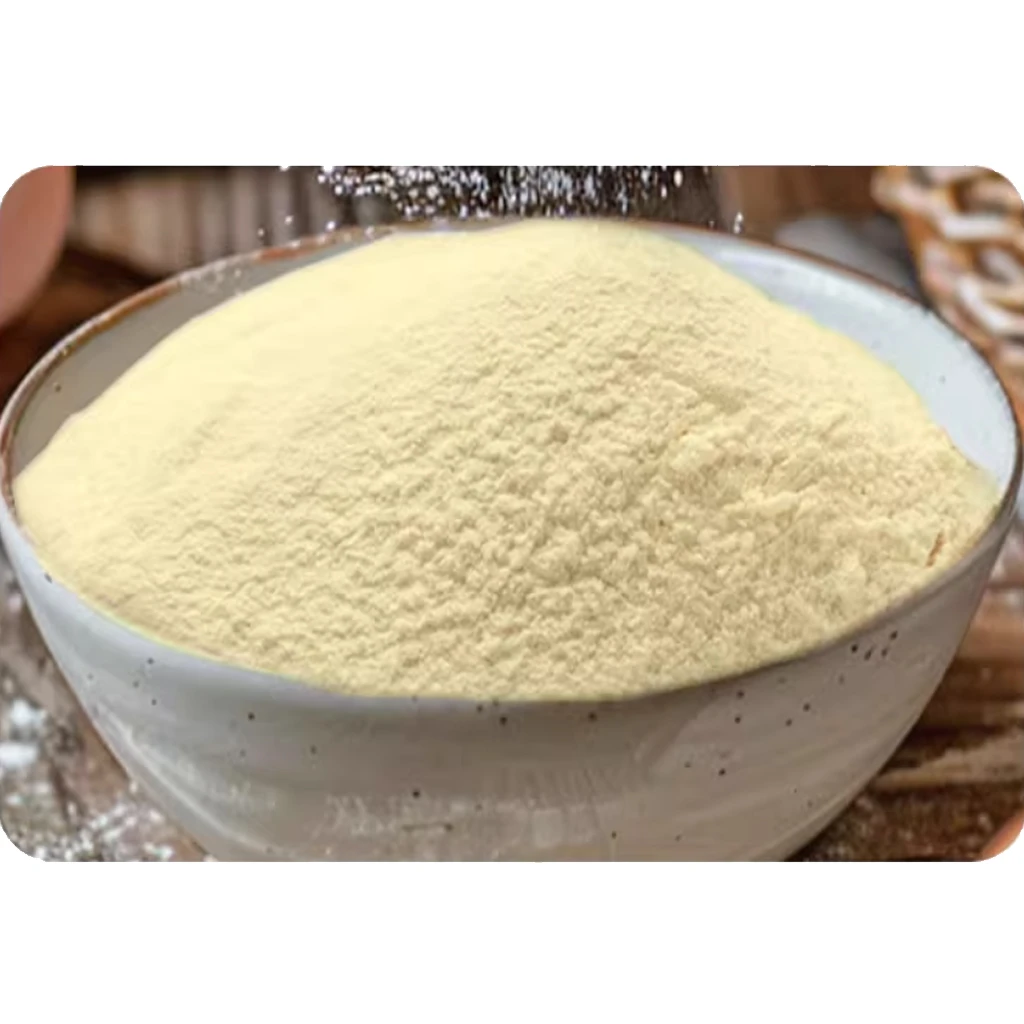 小麥蛋白質1kg（Wheat Gluten）麵筋粉｜烤麵筋粉 強筋粉 法國原裝 烘焙筋性改良劑 烤麩/麵腸粉
