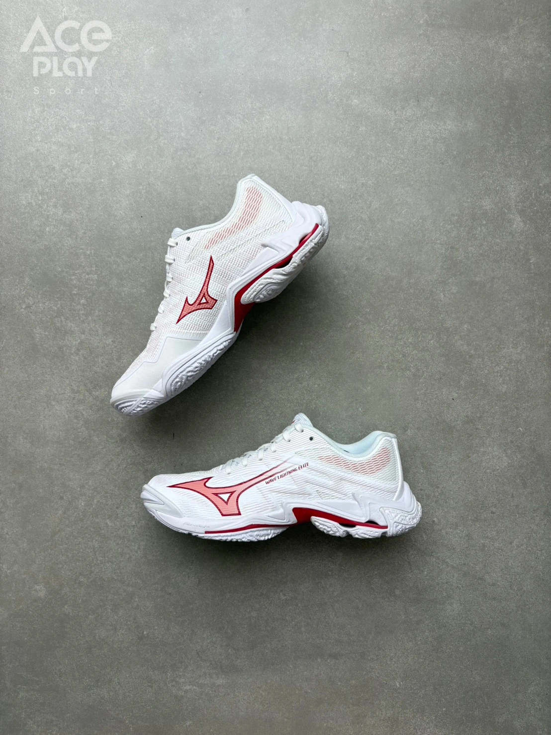 【Aceplay艾斯沛體育】MIZUNO 美津濃 WAVE MOMENTUM PRO 排球鞋 V1GC260073