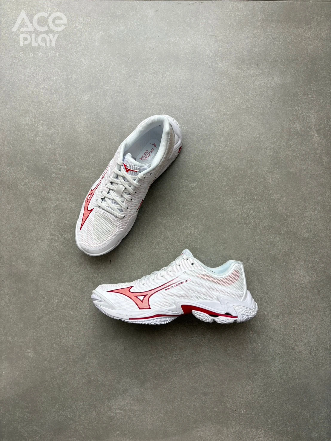 【Aceplay艾斯沛體育】MIZUNO 美津濃 WAVE MOMENTUM PRO 排球鞋 V1GC260073