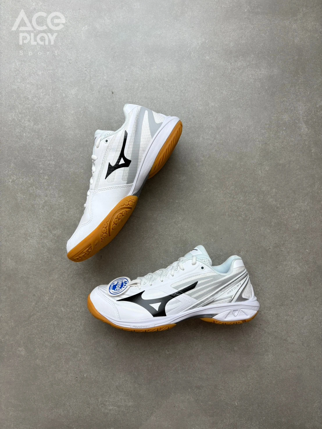 【Aceplay艾斯沛體育】MIZUNO 美津濃 WAVE CLAW 4 羽球鞋 71GA264307