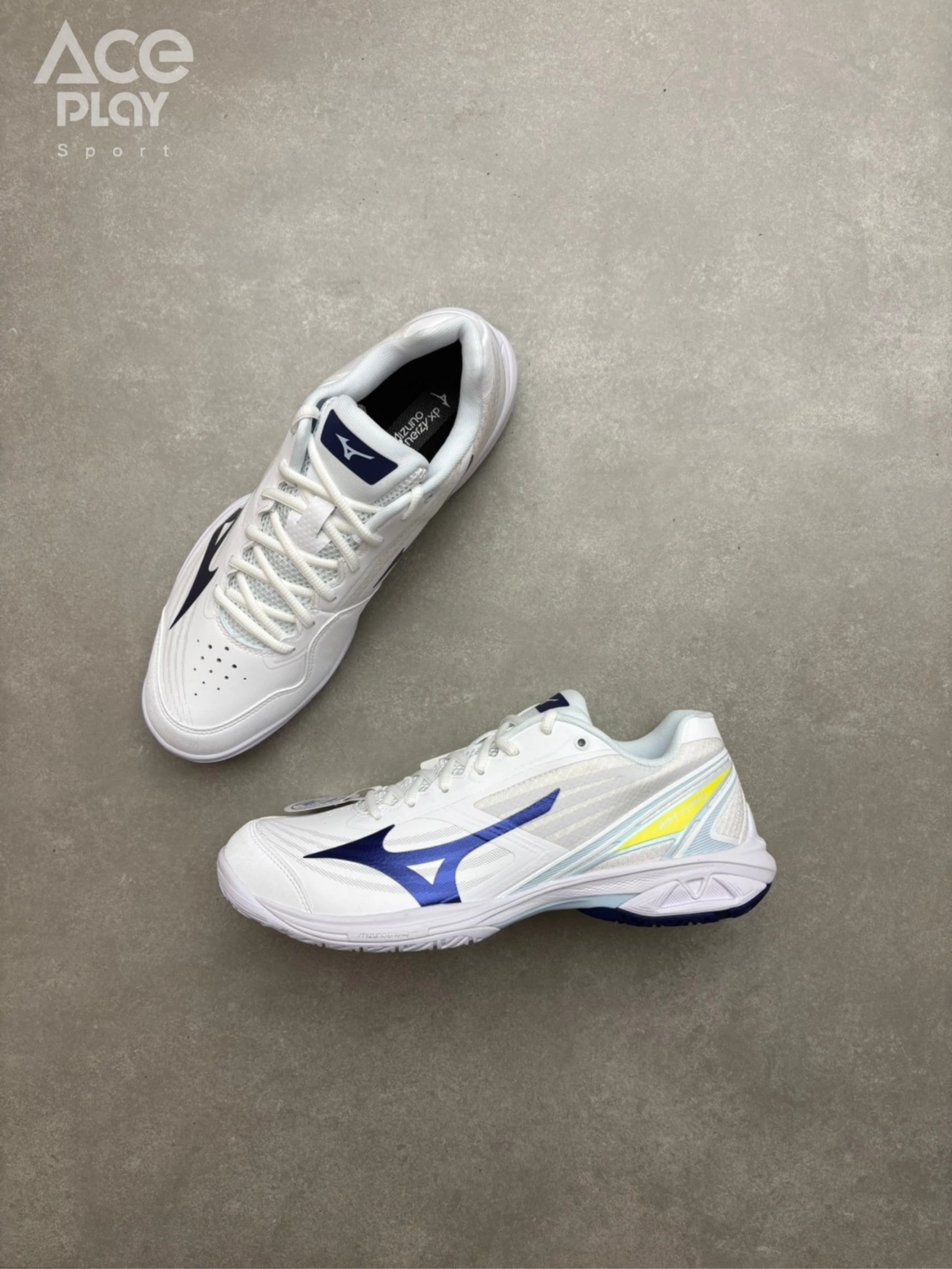 【Aceplay艾斯沛體育】MIZUNO美津濃 WAVE CLAW 4 羽球鞋 71GA264315
