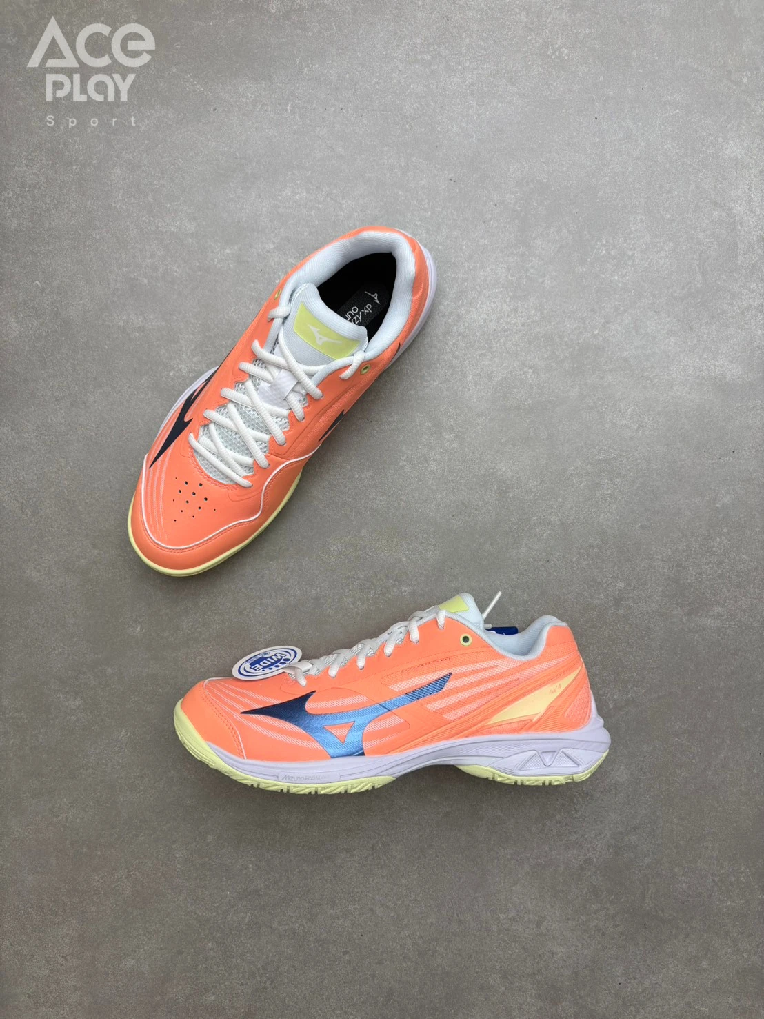 【Aceplay艾斯沛體育】MIZUNO美津濃 WAVE CLAW 4 羽球鞋 71GA264313