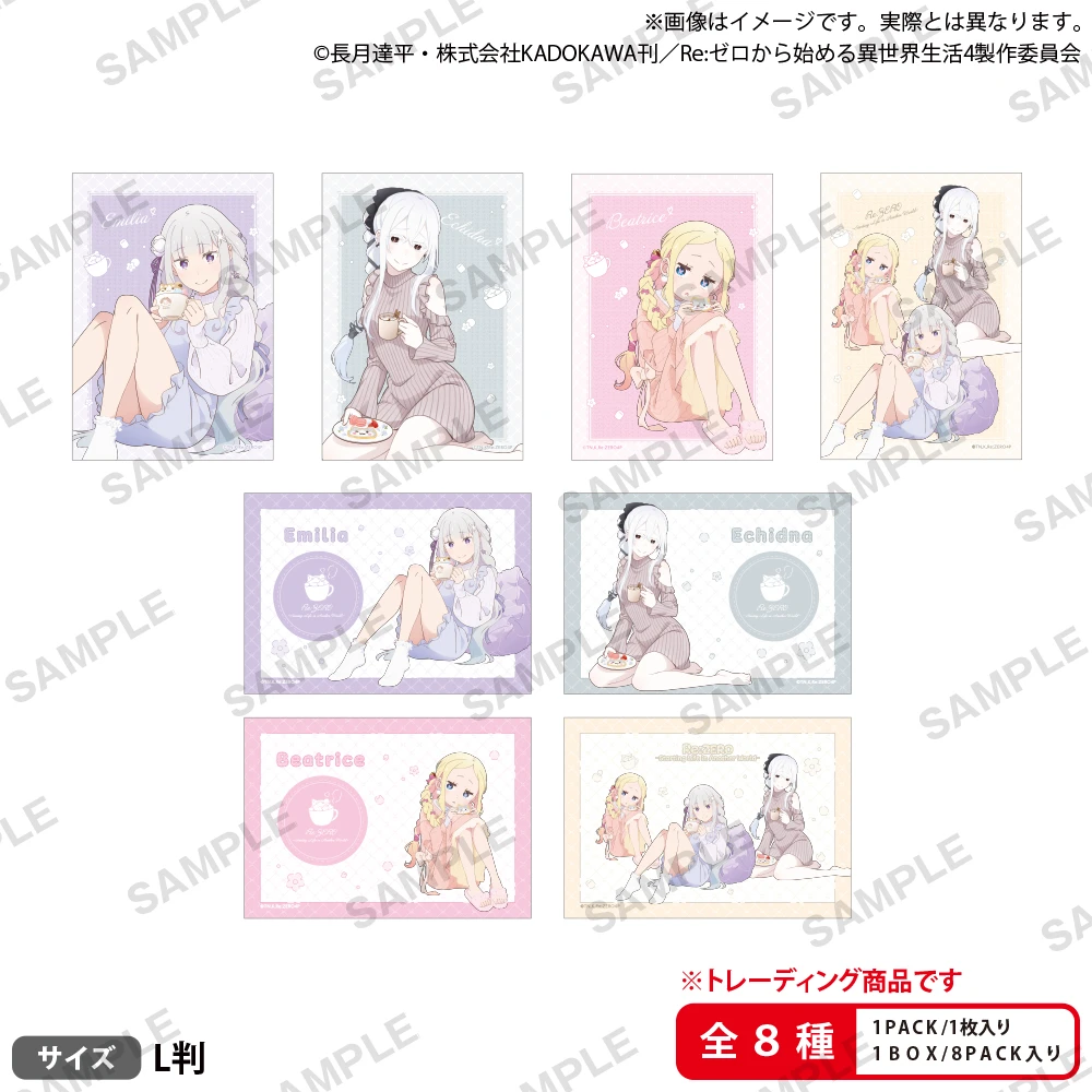 Bushiroad Creative 【Re:從零開始的異世界生活】 集換式角色相卡 愛蜜莉雅的生日生活2025ver. 【BOX】