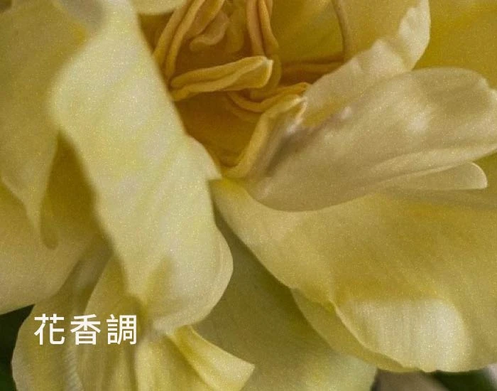 花香調