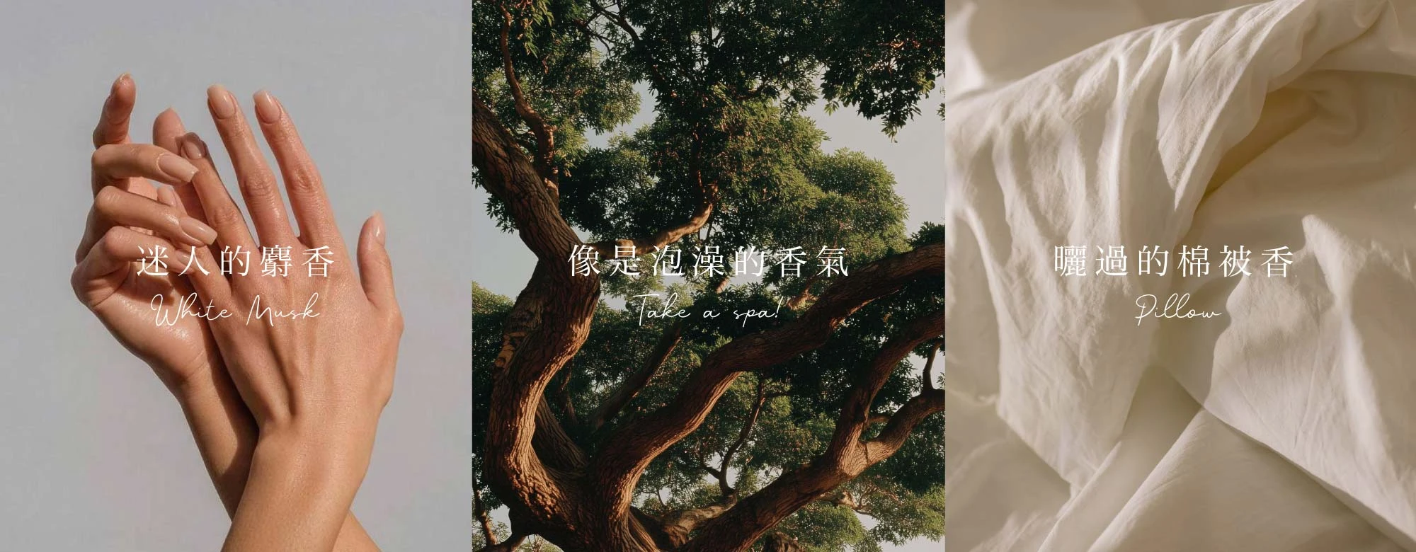 香氣指南-親膚香氣