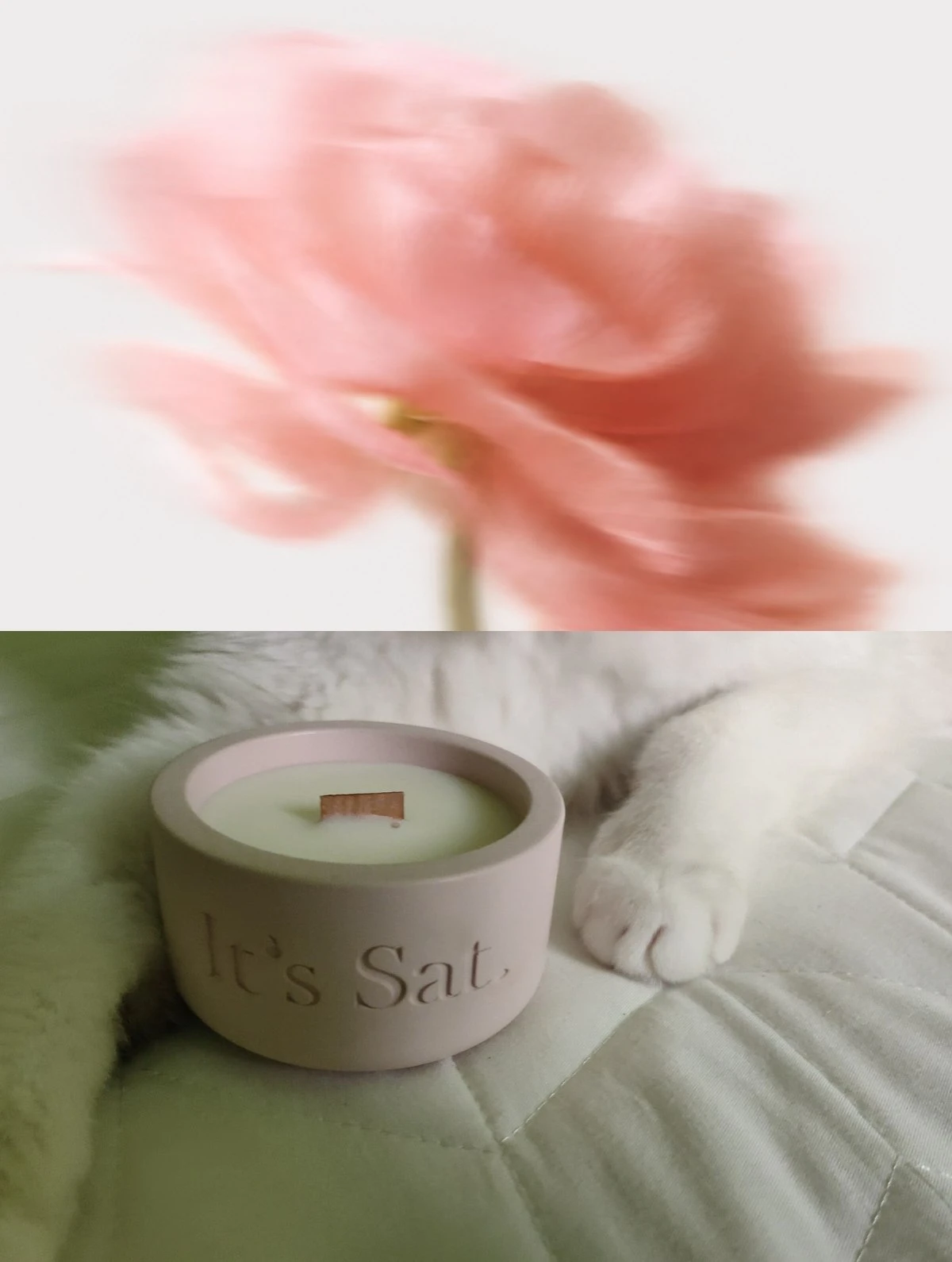 精油系列 // 熬夜成癮症 花香調 - 手工水泥香氛蠟燭