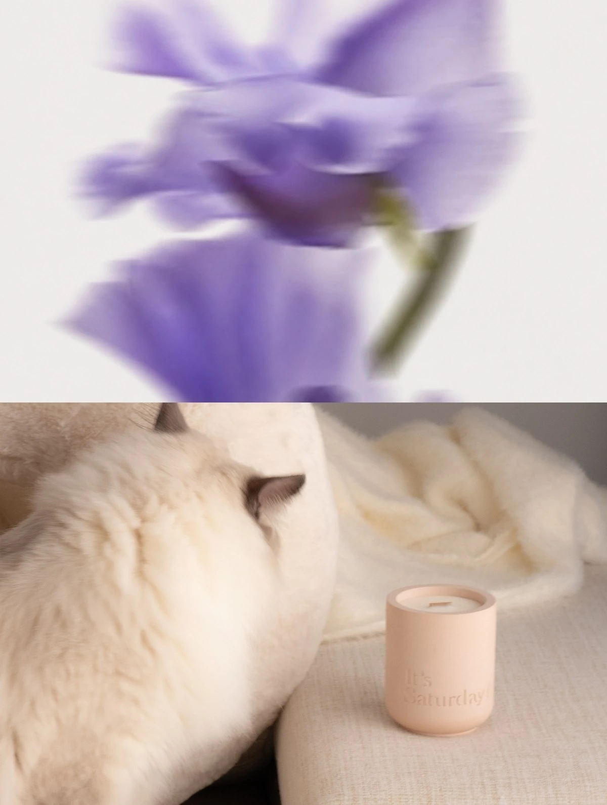 精油系列 // 逃進博物館 乳香花香調 - 手工水泥香氛蠟燭