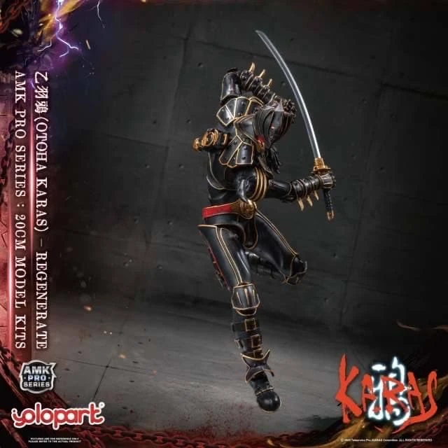 玩具聯合國☆ 預購免訂金YOLOPARK AMK PRO系列《鴉KARAS》乙羽鴉新生版