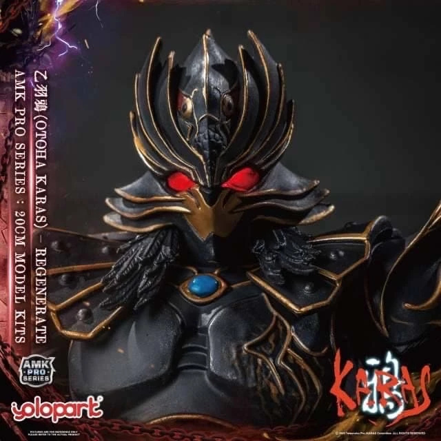 玩具聯合國☆ 預購免訂金YOLOPARK AMK PRO系列《鴉KARAS》乙羽鴉新生版