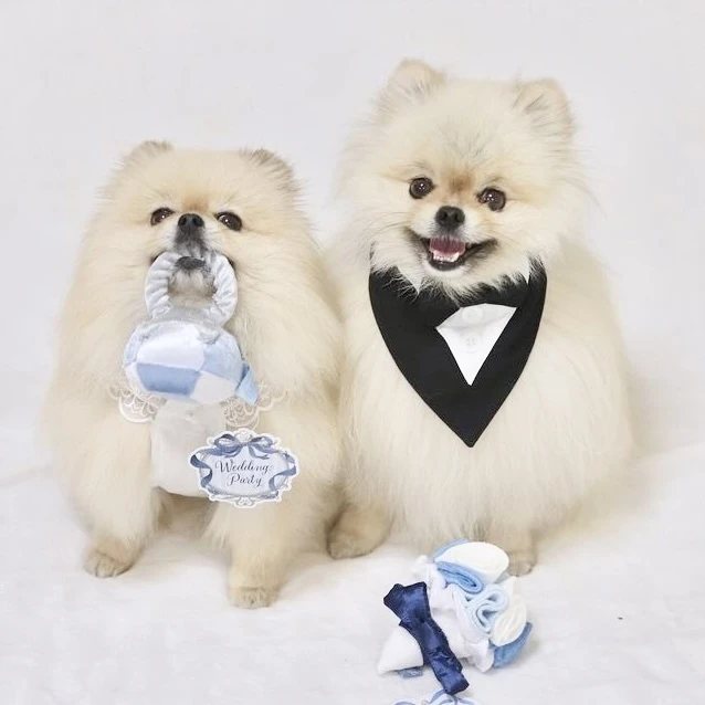 Bailey 婚禮系列－鑽戒