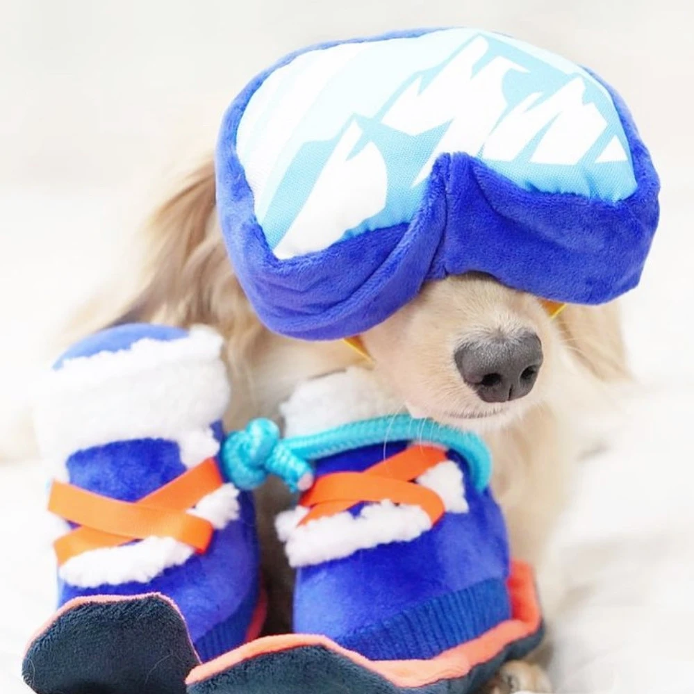 Bailey 滑雪系列－護目鏡