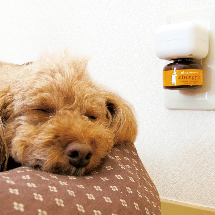 DOG AROMA 舒眠精油25ml含座