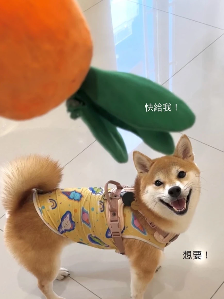 巨大紅蘿蔔