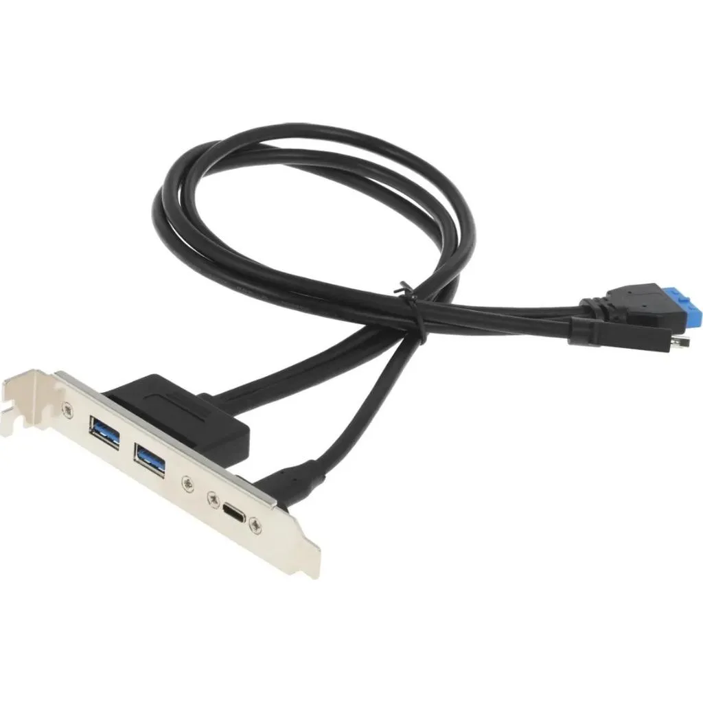 【20Gbps 極速版】USB-A*2 + USB-C 主機板 TYPE-E USB19P 後置擋板擴充線
