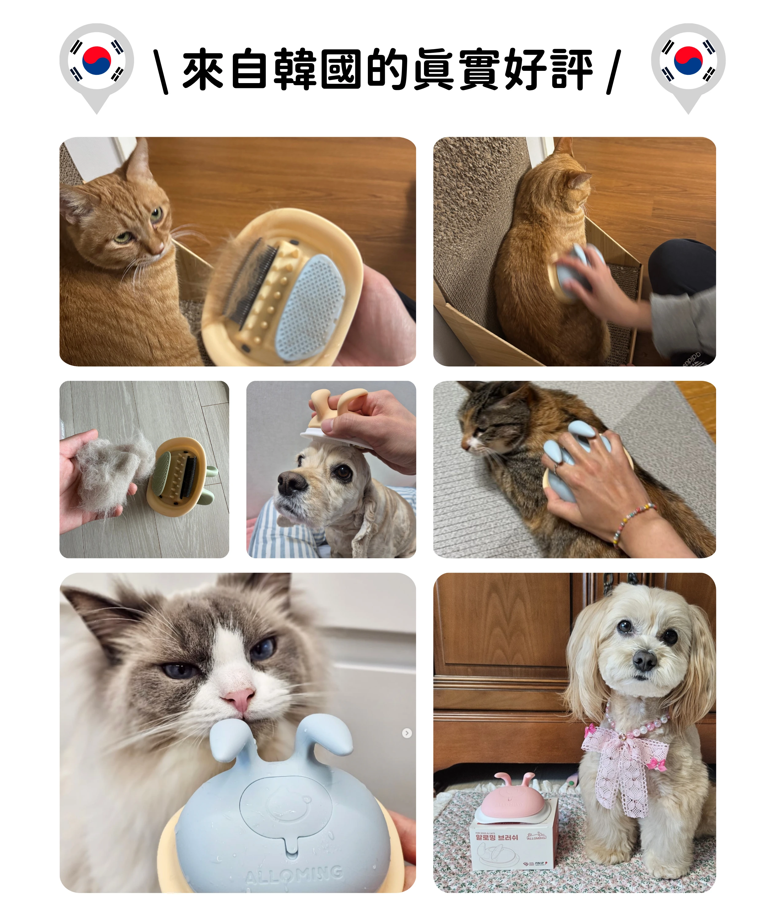 alloming紓壓互動毛梳 來自韓國的真實使用心得