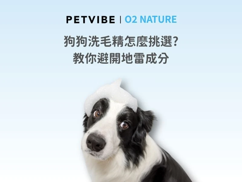 2026狗狗洗毛精推薦：天然成分怎麼選？O2 NATURE舒氧植萃洗毛精教你避開3大化學雷區，守護毛孩皮膚健康!