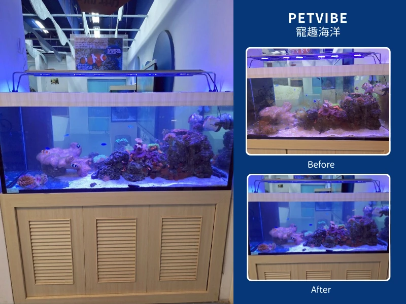 魚缸保養｜台北海洋教育中心