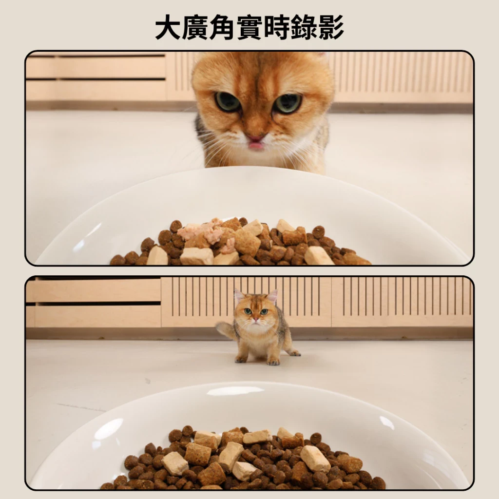 meoof|蛋捲餵食器(視訊版獨享碗)