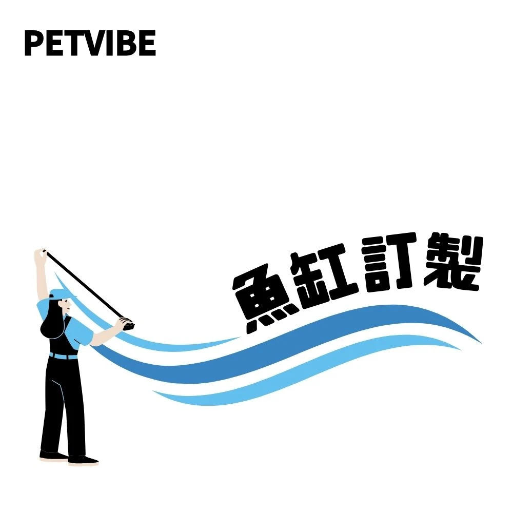 魚缸訂製