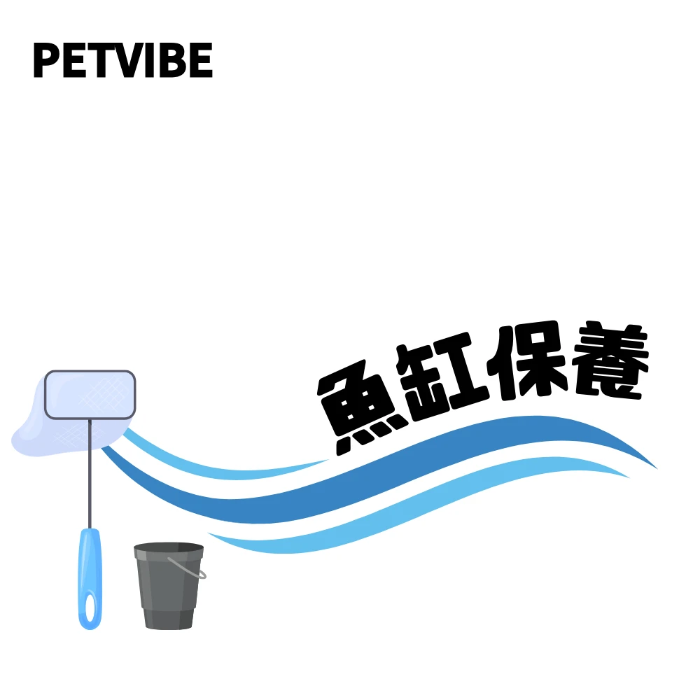 魚缸保養