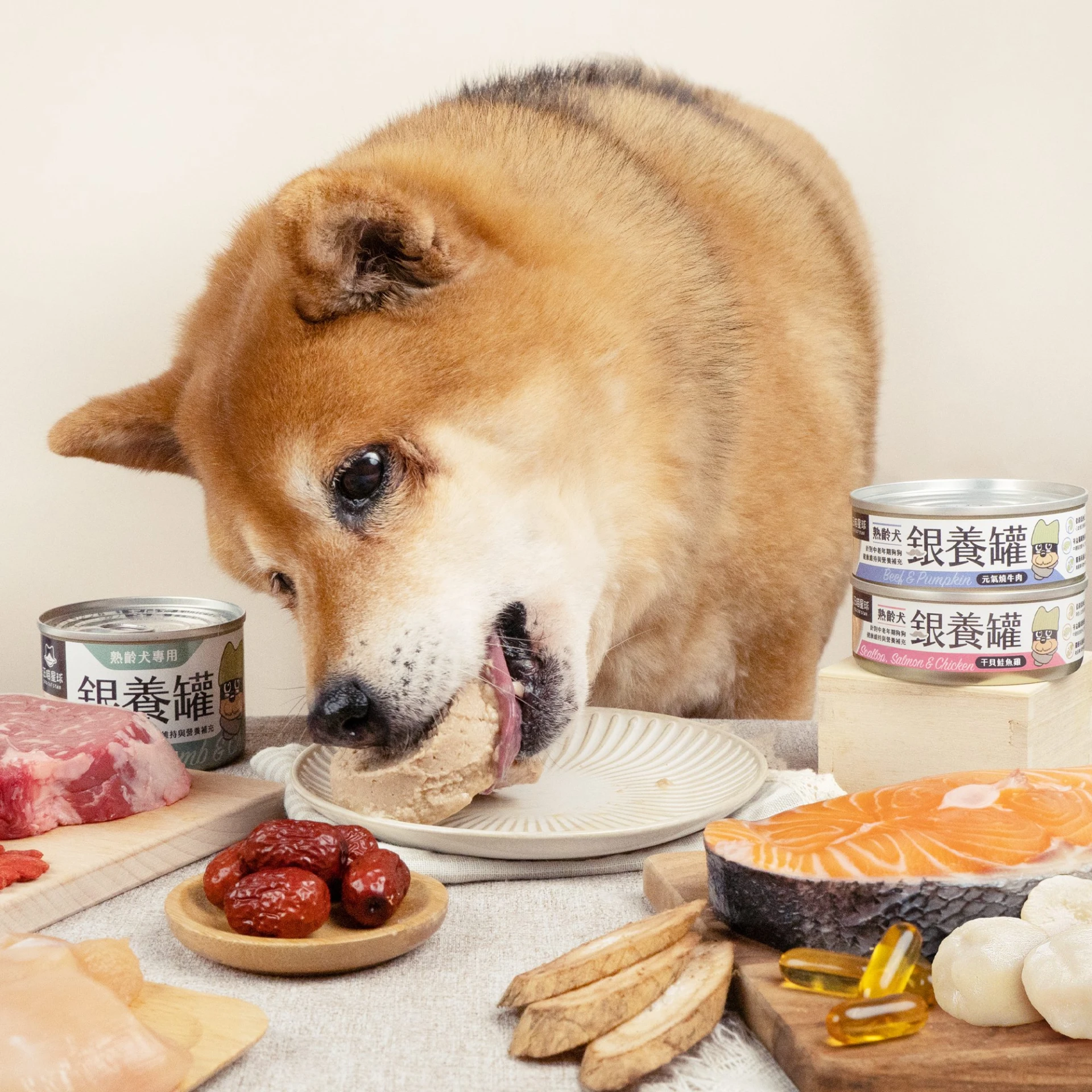 【箱購】汪喵星球|熟齡犬無膠銀養主食罐