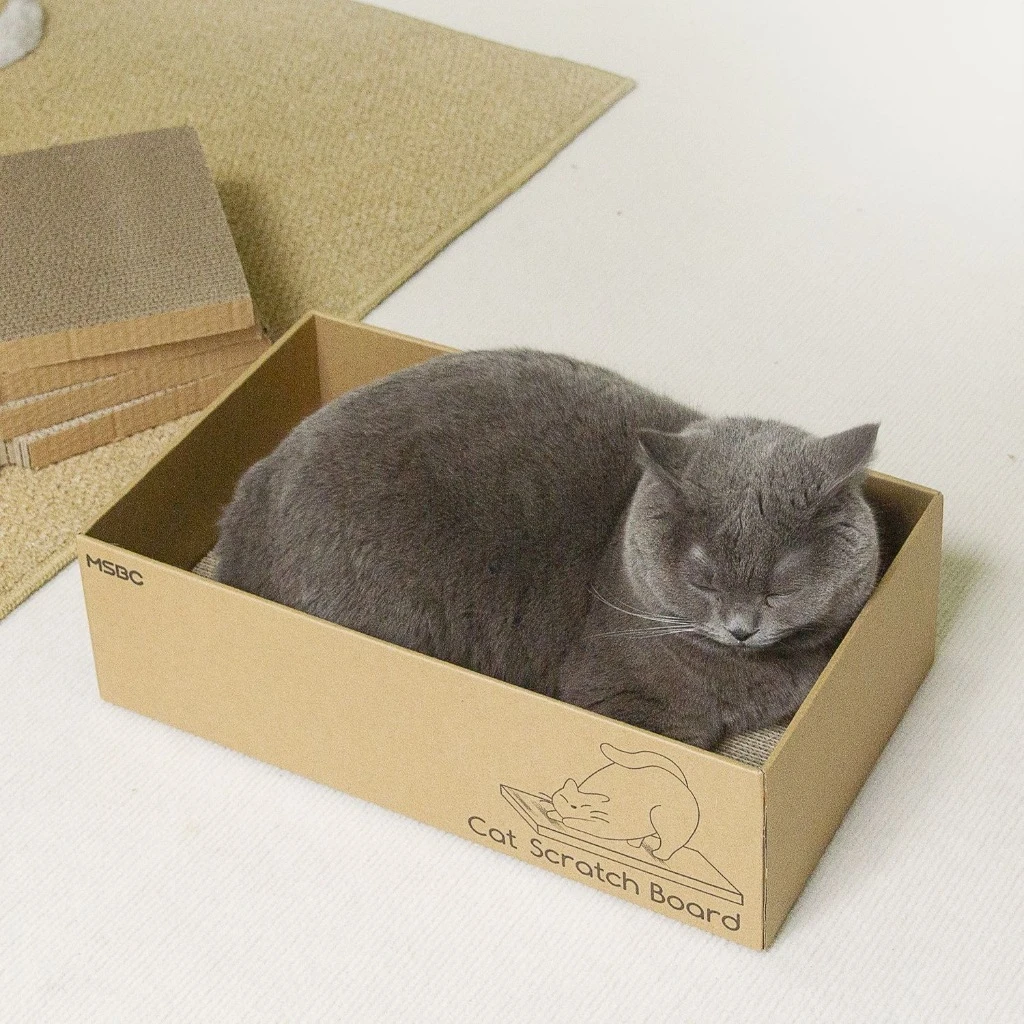 【PETVIBE】盒裝替換式貓抓板