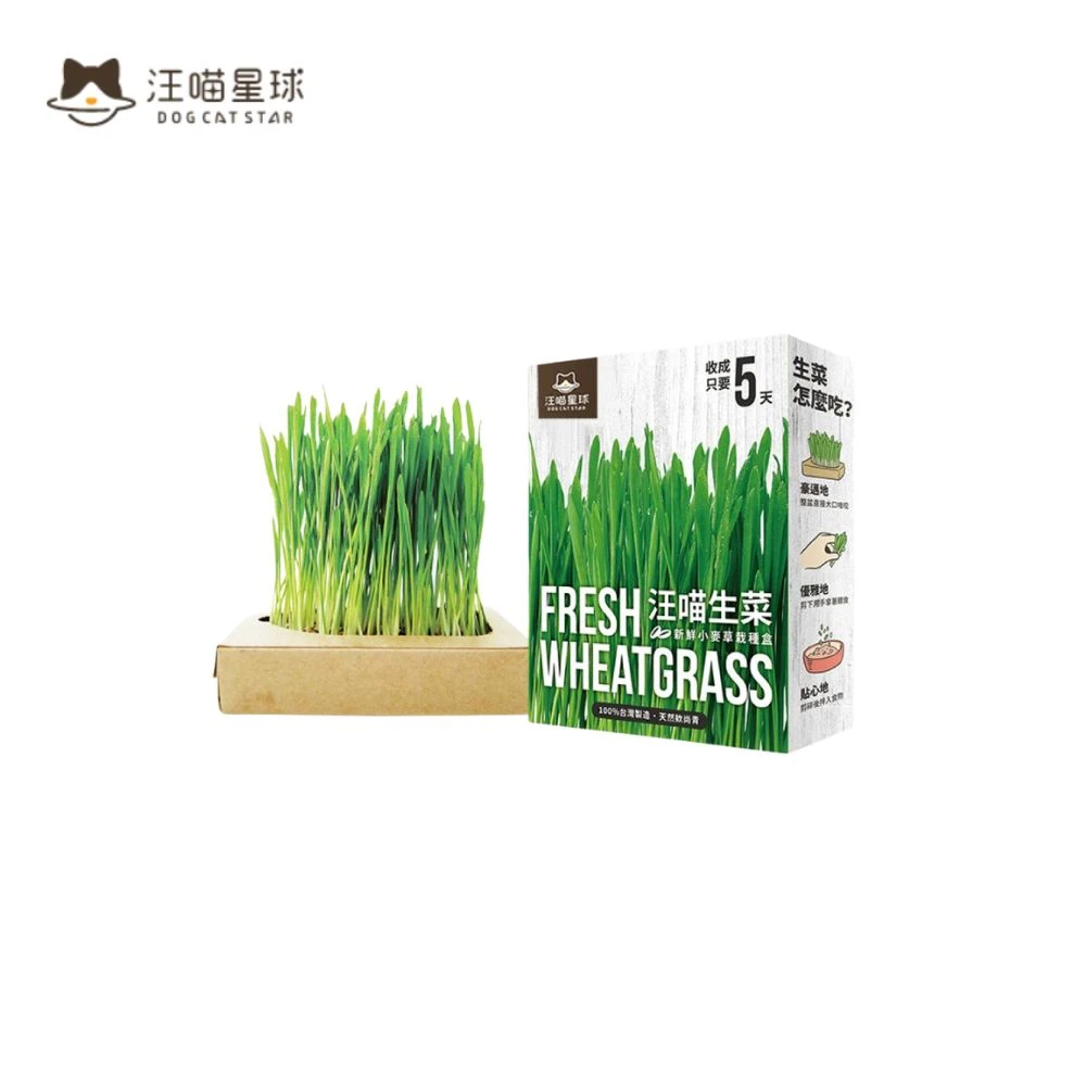 汪喵星球|貓草新鮮栽培盒