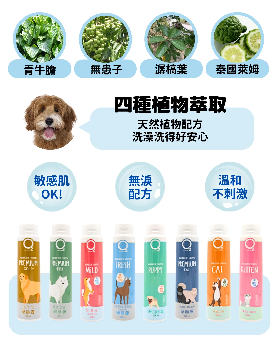   O2NATURE 舒氧植萃洗毛精:四種天然草本植物萃取成分，敏感肌適用，無淚配方讓毛孩洗澡洗得好安心。