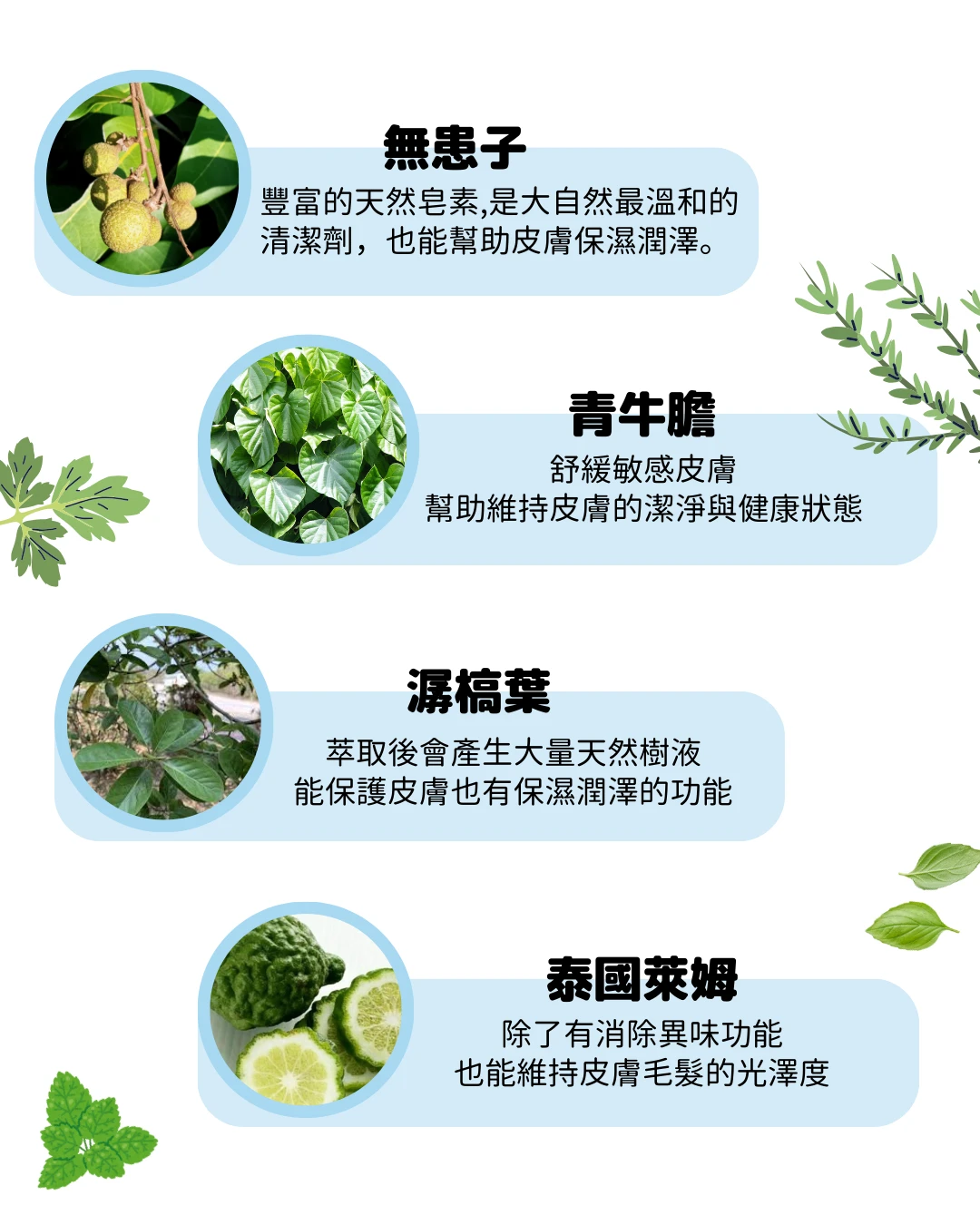 O2NATURE 植萃成分介紹：無患子、青牛膽、潺槁樹與泰國萊姆，守護毛孩皮膚健康。