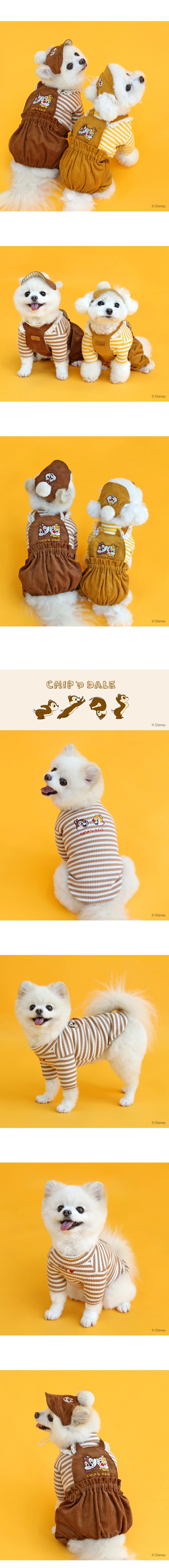 ITS DOG 迪士尼奇奇蒂蒂寵物服飾 狗狗實穿展示