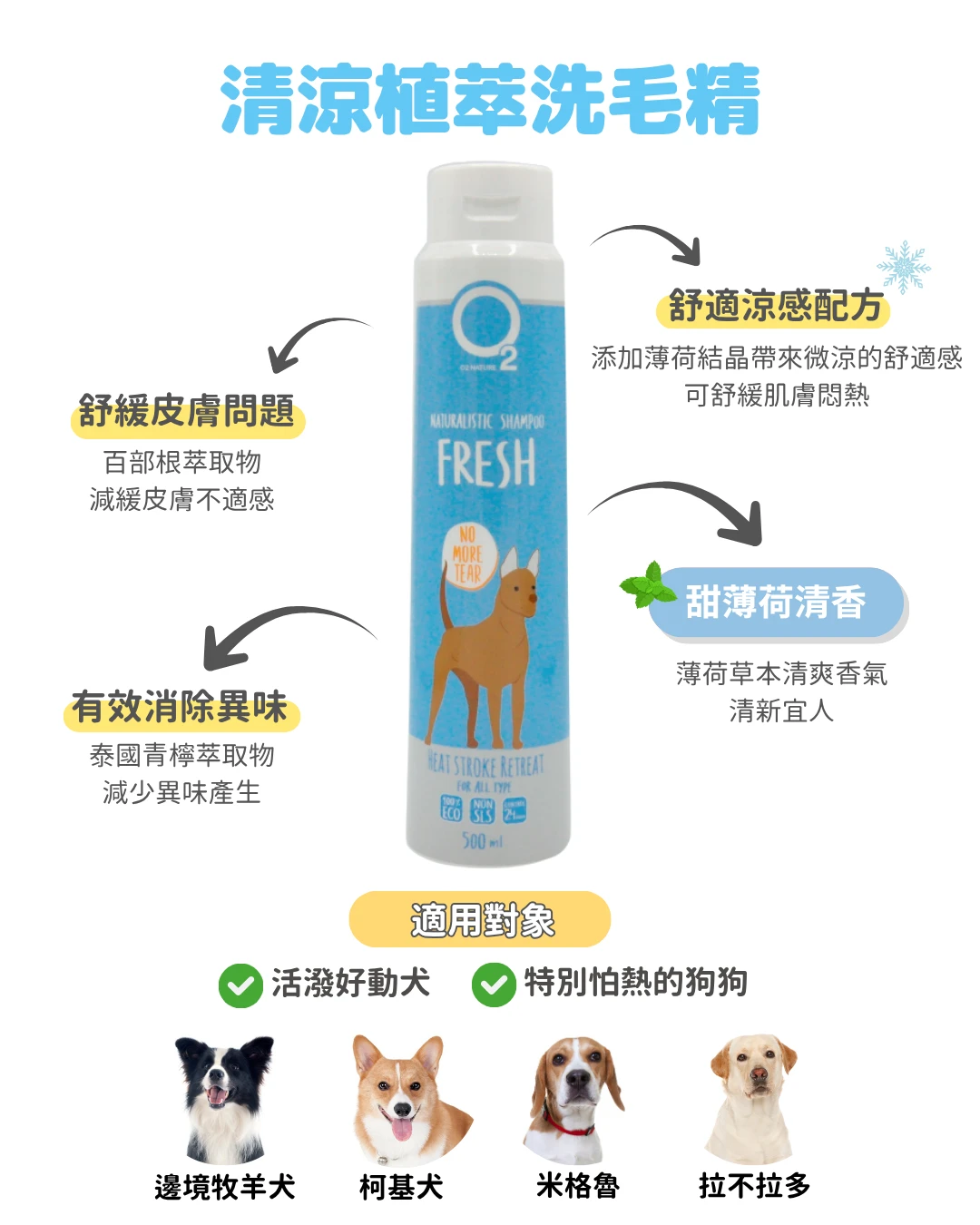 【O2NATURE犬用清涼植萃洗毛精500ml】微涼感配方可舒緩悶熱感，泰國檸檬萃取減少異味產生，緩解搔癢問題，適合活動好動或常外出的狗狗，2026年寵物展熱銷推薦。