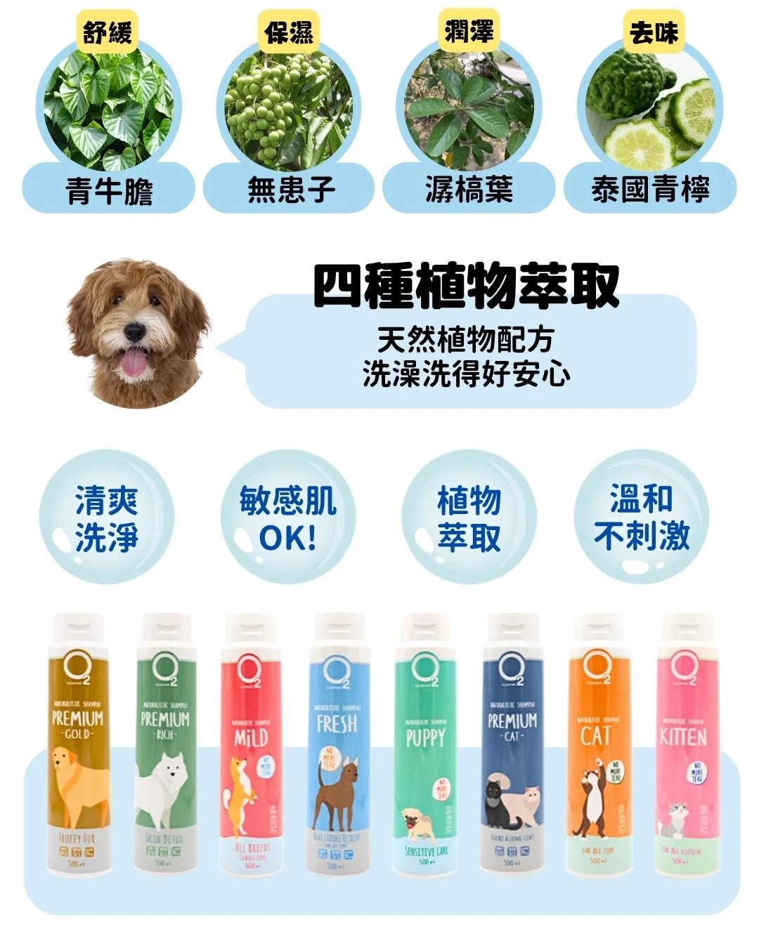  O2NATURE 舒氧植萃洗毛精:四種天然草本植物萃取成分，敏感肌適用，無淚配方讓毛孩洗澡洗得好安心。