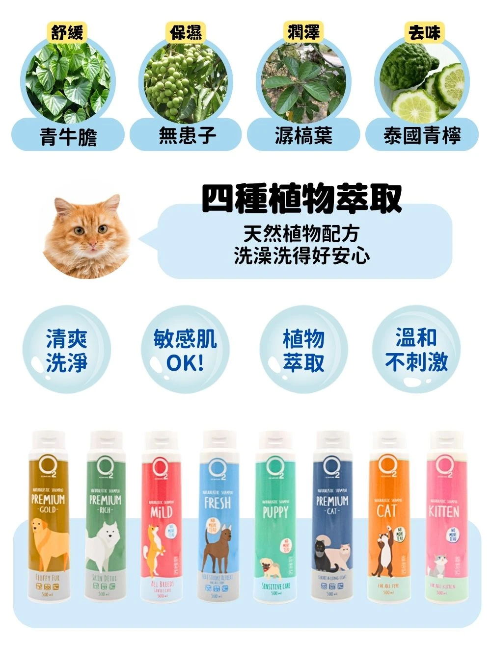  O2NATURE 舒氧植萃洗毛精:四種天然草本植物萃取成分，敏感肌適用，無淚配方讓毛孩洗澡洗得好安心。