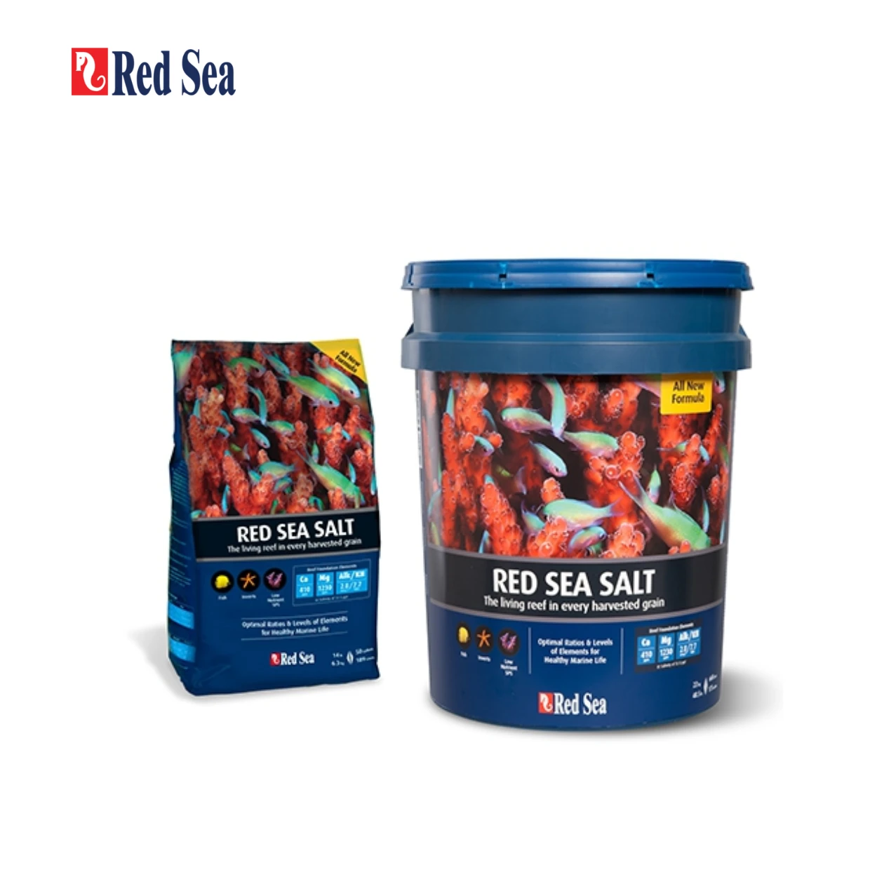 Red Sea紅海 | 增色鹽