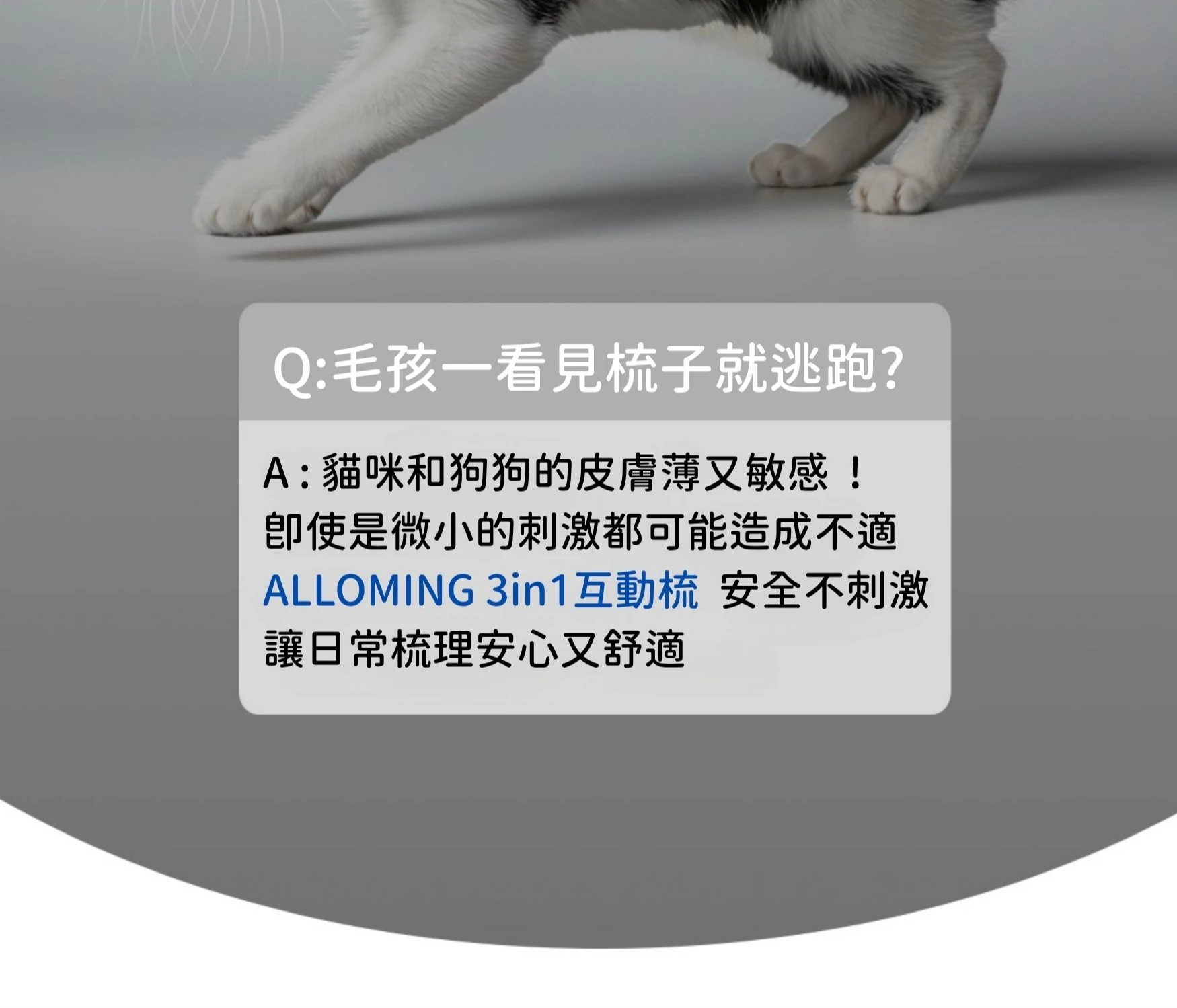 貓咪抗拒梳毛怎麼辦 ALLOMING 3in1 寵物紓壓互動梳 溫柔呵護敏感皮膚不刺激