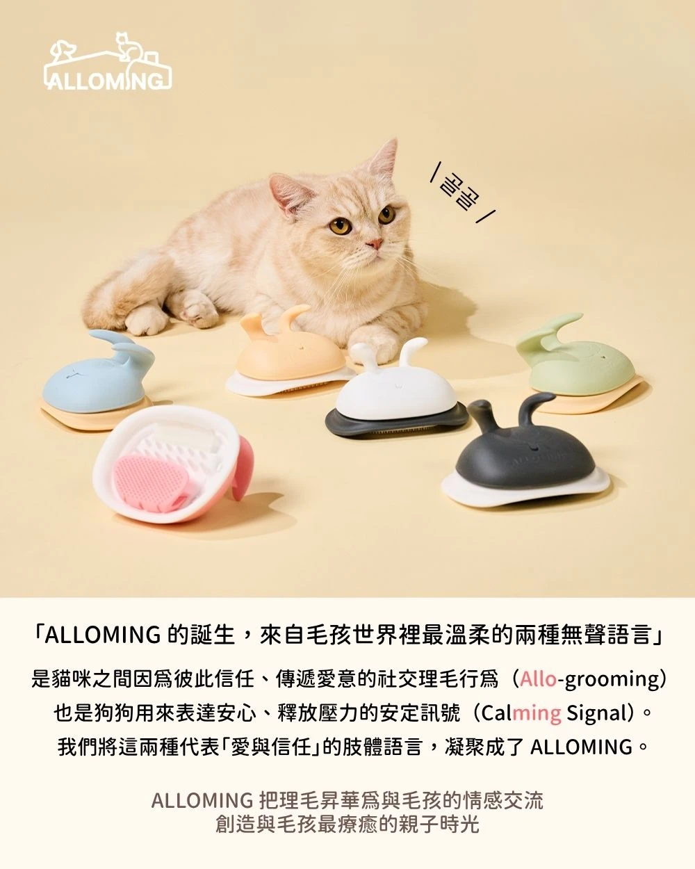 ALLOMING 品牌故事 凝聚愛與信任的理毛時光 打造毛孩療癒親密互動