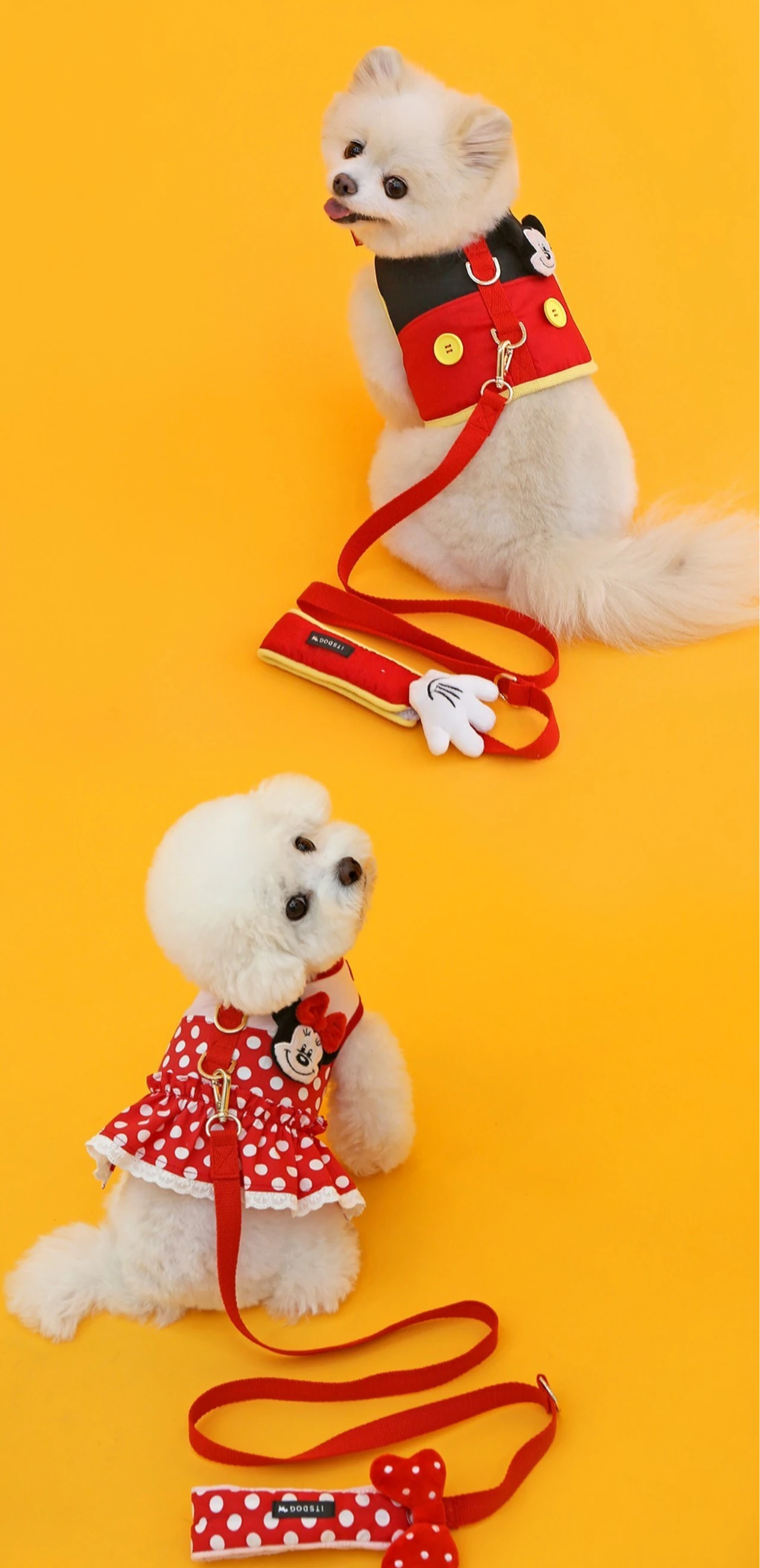 ITS DOG 經典米奇米妮迪士尼胸背背心 狗狗實拍展示示範