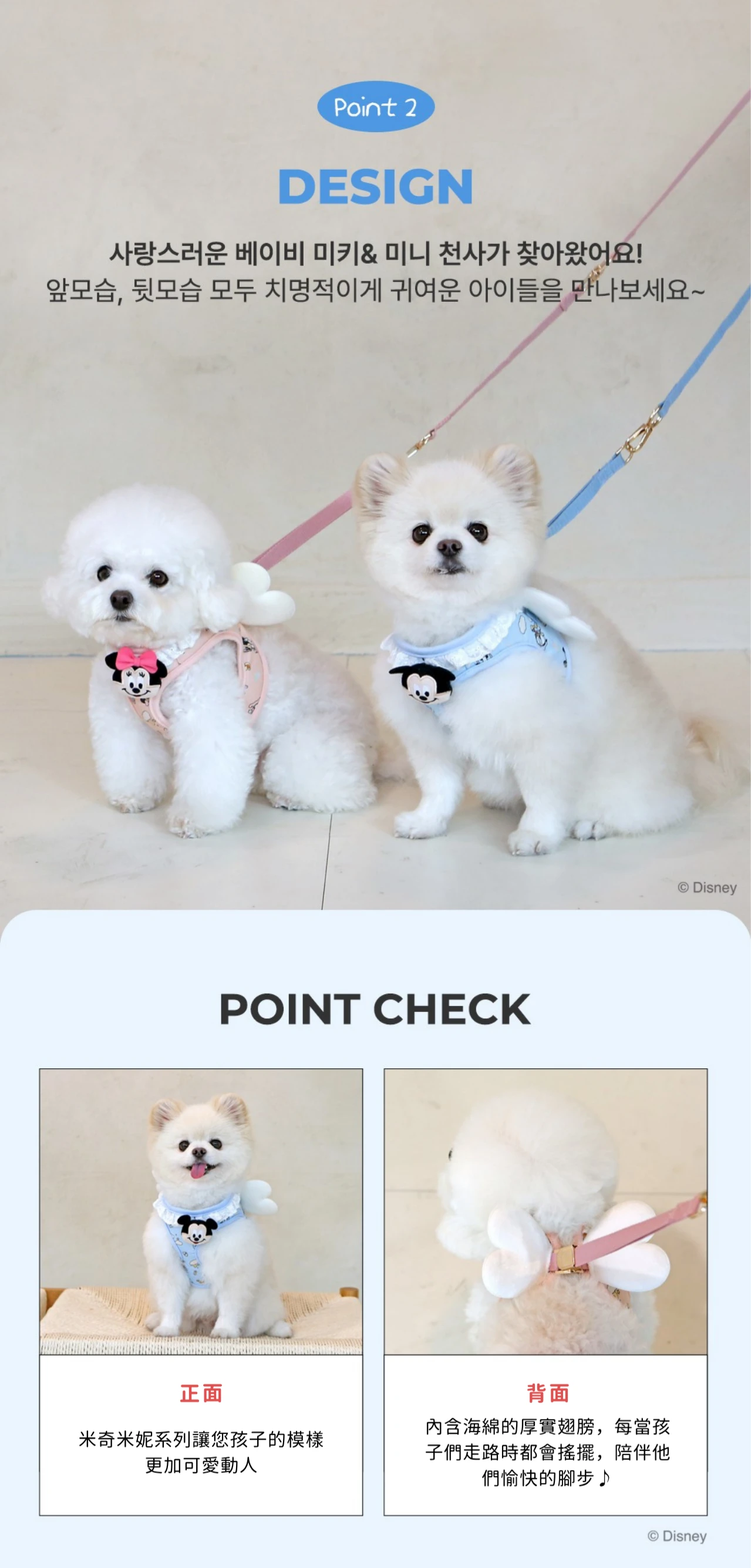 ITS DOG 迪士尼天使胸背衣 毛孩穿著示範 立體海綿翅膀 走路會搖擺 不勒氣管防掙脫