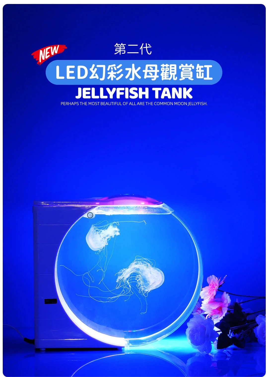 4595_6ae182b862e3e.png.webp