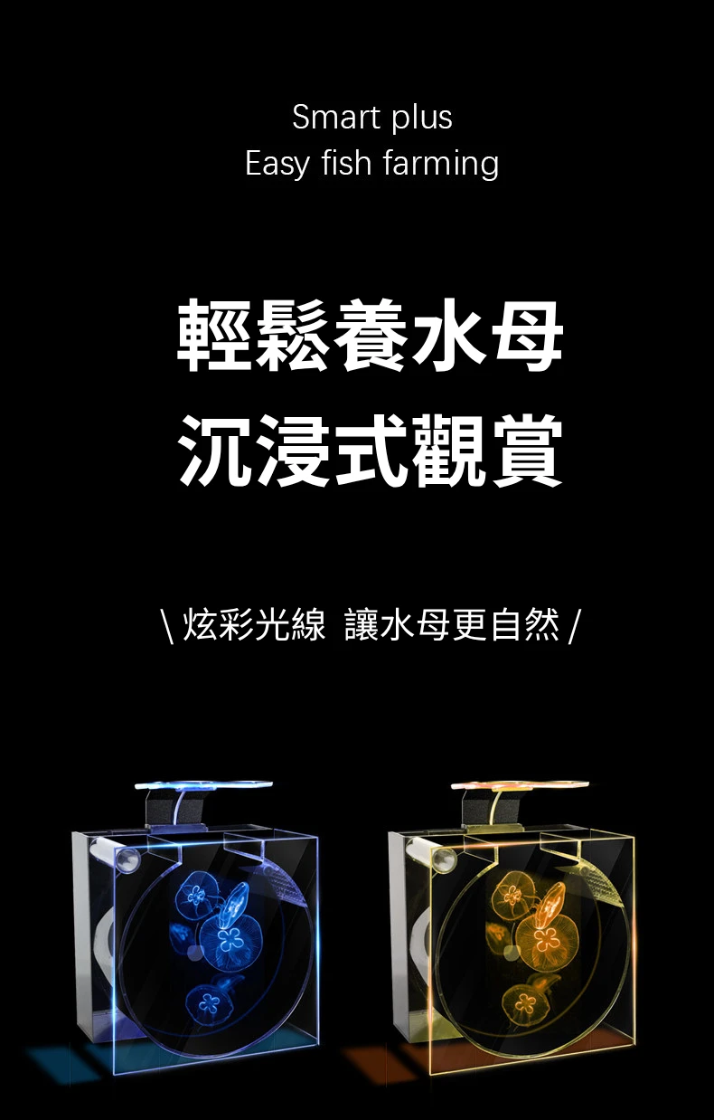 4595_6ae45d4060f65.png.webp